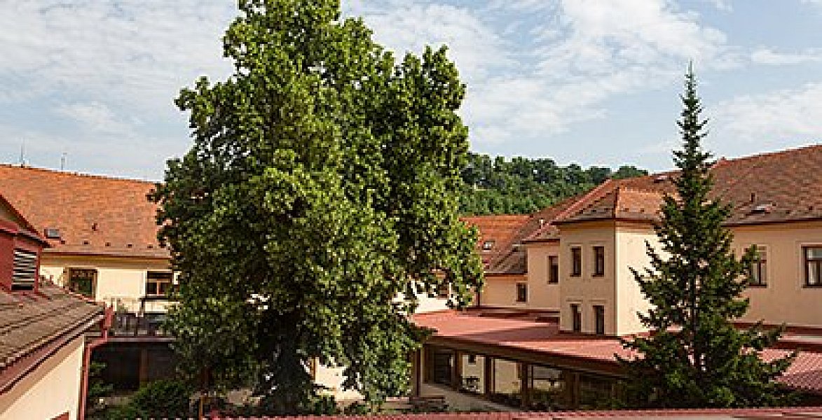 Do týmu Sue Ryder hledáme vedoucí/vedoucího zdravotní péče v domově pro seniory