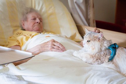 Terapeutický tým Sue Ryder má novou posilu