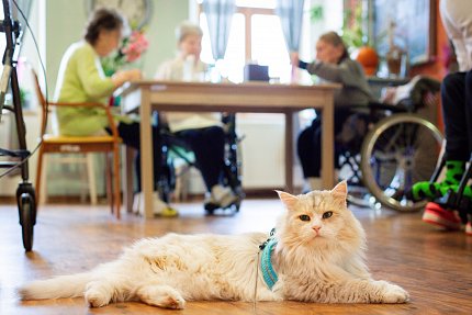 Terapeutický tým Sue Ryder má novou posilu