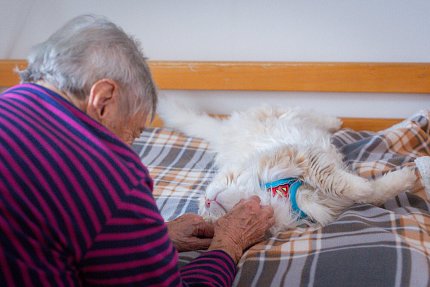 Terapeutický tým Sue Ryder má novou posilu