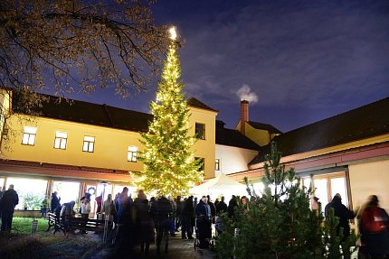 Začátek i konec roku ve fotografiích