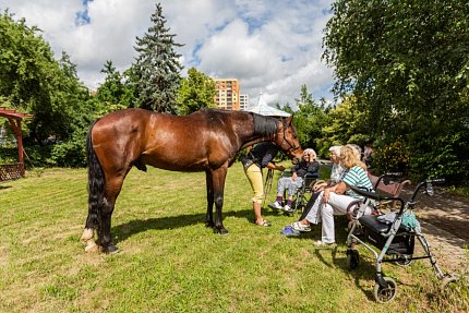 Setkání s terapeutickým koněm Sagim