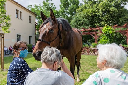 Setkání s terapeutickým koněm Sagim