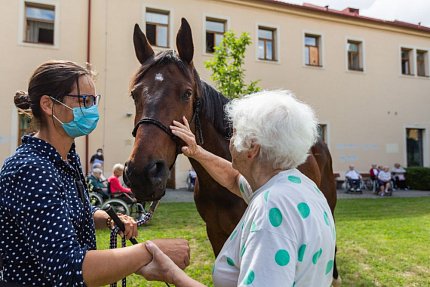 Setkání s terapeutickým koněm Sagim