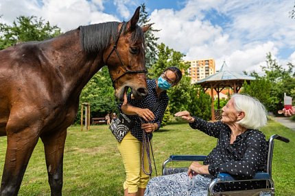 Setkání s terapeutickým koněm Sagim