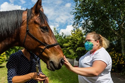 Setkání s terapeutickým koněm Sagim