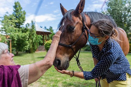 Setkání s terapeutickým koněm Sagim