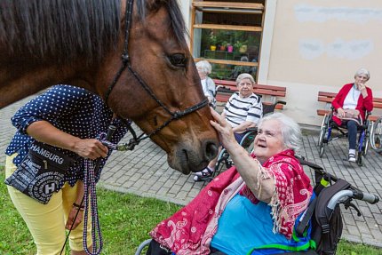 Setkání s terapeutickým koněm Sagim