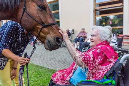 Setkání s terapeutickým koněm Sagim