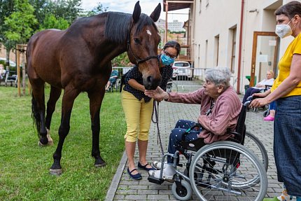 Setkání s terapeutickým koněm Sagim