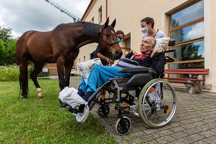 Setkání s terapeutickým koněm Sagim