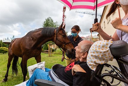 Setkání s terapeutickým koněm Sagim