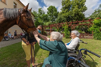 Setkání s terapeutickým koněm Sagim