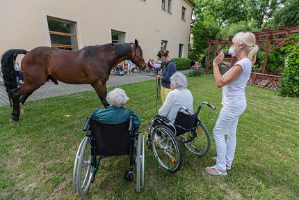 Setkání s terapeutickým koněm Sagim