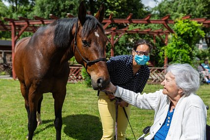 Setkání s terapeutickým koněm Sagim