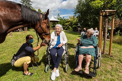 Setkání s terapeutickým koněm Sagim