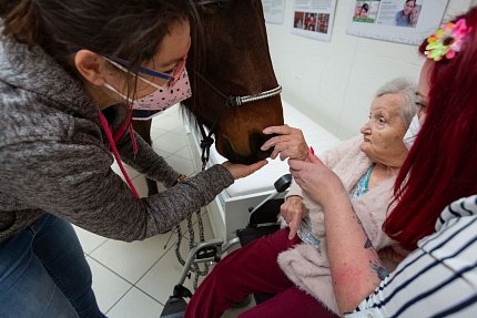 Návštěva terapeutického koně Sagiho - tentokrát v galerii Sue Ryder!