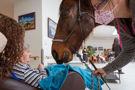 Návštěva terapeutického koně Sagiho - tentokrát v galerii Sue Ryder!