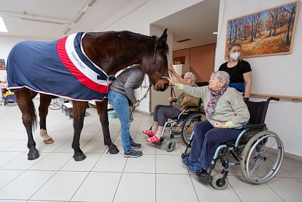 Návštěva terapeutického koně Sagiho - tentokrát v galerii Sue Ryder!