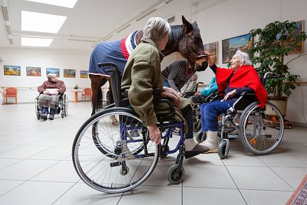 Návštěva terapeutického koně Sagiho - tentokrát v galerii Sue Ryder!