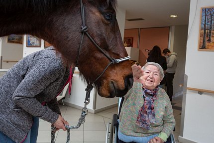 Návštěva terapeutického koně Sagiho - tentokrát v galerii Sue Ryder!