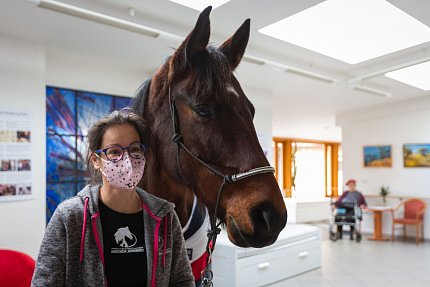 Návštěva terapeutického koně Sagiho - tentokrát v galerii Sue Ryder!