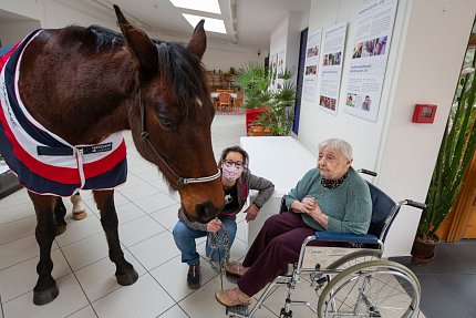 Návštěva terapeutického koně Sagiho - tentokrát v galerii Sue Ryder!