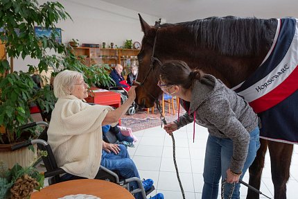 Návštěva terapeutického koně Sagiho - tentokrát v galerii Sue Ryder!