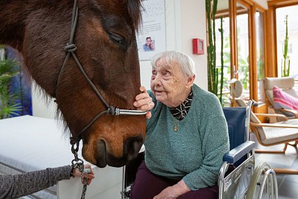 Návštěva terapeutického koně Sagiho - tentokrát v galerii Sue Ryder!