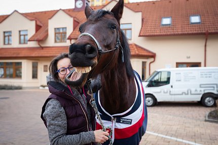 Návštěva terapeutického koně Sagiho - tentokrát v galerii Sue Ryder!