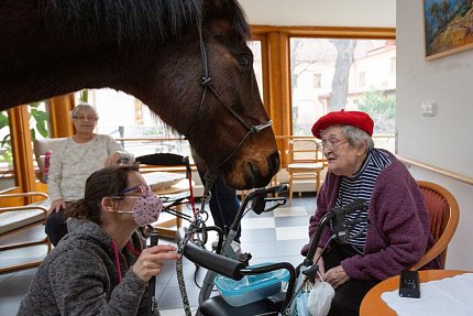 Návštěva terapeutického koně Sagiho - tentokrát v galerii Sue Ryder!