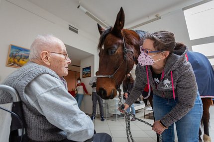 Návštěva terapeutického koně Sagiho - tentokrát v galerii Sue Ryder!