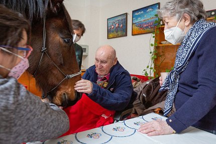 Návštěva terapeutického koně Sagiho - tentokrát v galerii Sue Ryder!