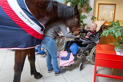 Návštěva terapeutického koně Sagiho - tentokrát v galerii Sue Ryder!