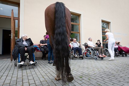 Když Sagi zavřel oči, byl možná s lidmi na nějaké zvláštní hlubší vlně...