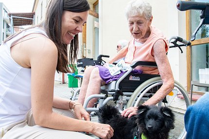 Zahrada Sue Ryder se proměnila v dějiště Letních her. 