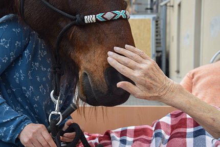 Intenzivní zooterapie pro seniory