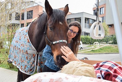 Intenzivní zooterapie pro seniory