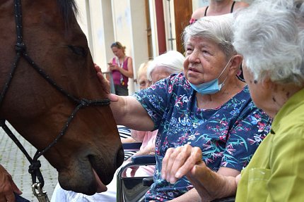 Setkání klientů s terapeutickým koněm Sagim