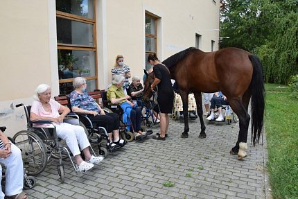 Setkání klientů s terapeutickým koněm Sagim