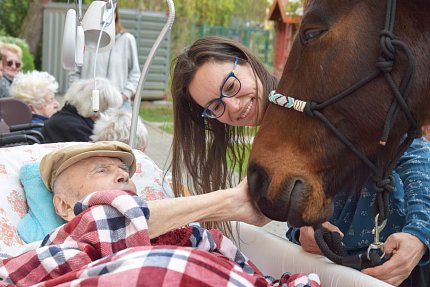 Intenzivní zooterapie pro seniory