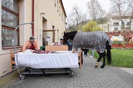 Intenzivní zooterapie pro seniory