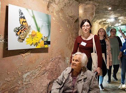 Výlet za motýly do botanické zahrady 
