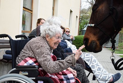 Intenzivní zooterapie pro seniory