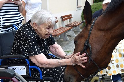 Setkání klientů s terapeutickým koněm Sagim