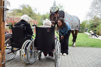 Intenzivní zooterapie pro seniory