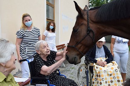 Setkání klientů s terapeutickým koněm Sagim