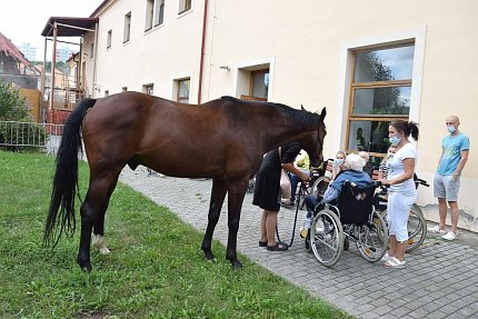 Setkání klientů s terapeutickým koněm Sagim