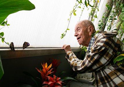 Výlet za motýly do botanické zahrady 