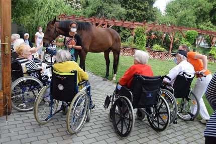 Setkání klientů s terapeutickým koněm Sagim